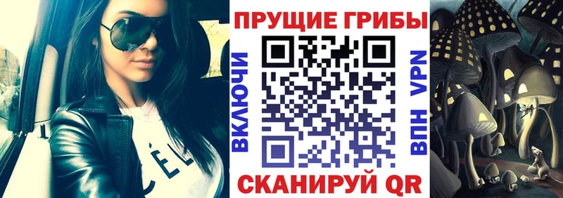 Галлюциногенные грибы мухоморы  Купить закладки  Балтийск 