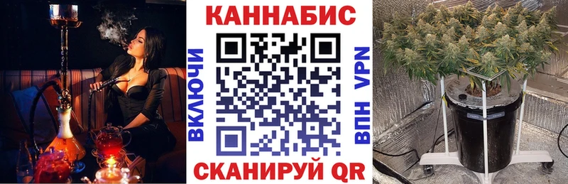 Бошки Шишки White Widow  Купить где  Балтийск 